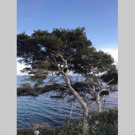 À deux pas de la mer : SPA, billard et baby-foot Villa *